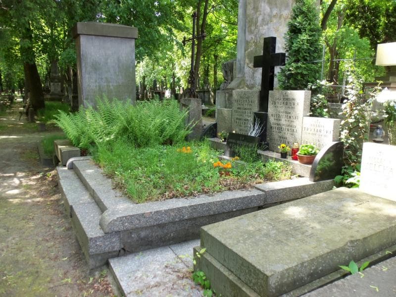 Zdjęcie grobu Zofia Stanisława Tryjarska (1)