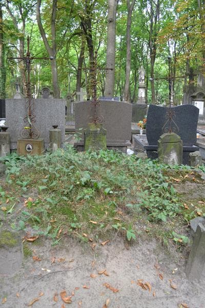 Zdjęcie grobu Józef Dobrzecki (1)