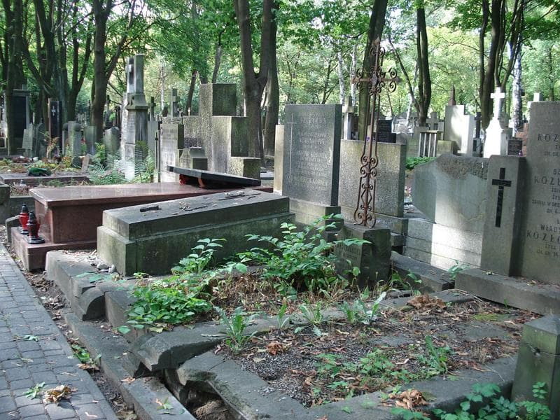Zdjęcie grobu: Czesław Jastrzębski