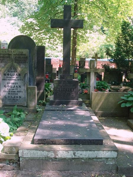 Zdjęcie grobu Aleksander Wóycicki (1)