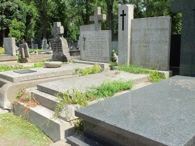 Zdjęcie grobu Zofia Lewandowska (1)