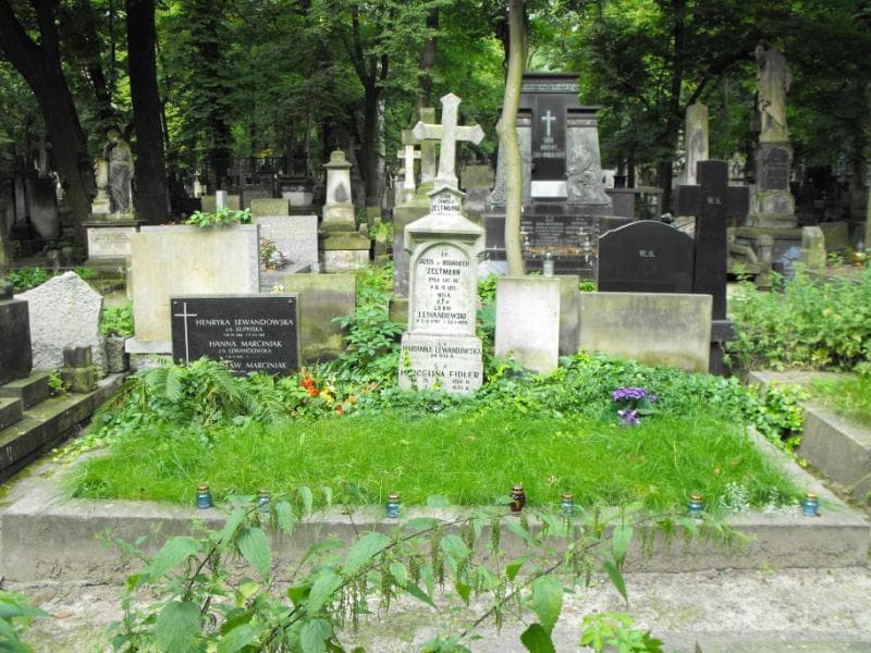 Zdjęcie grobu: Edward Lewandowski
