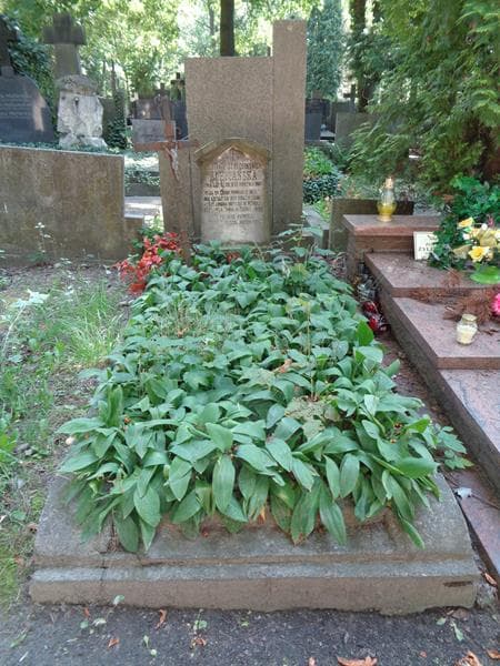 Zdjęcie grobu Józefa Ochmańska (1)