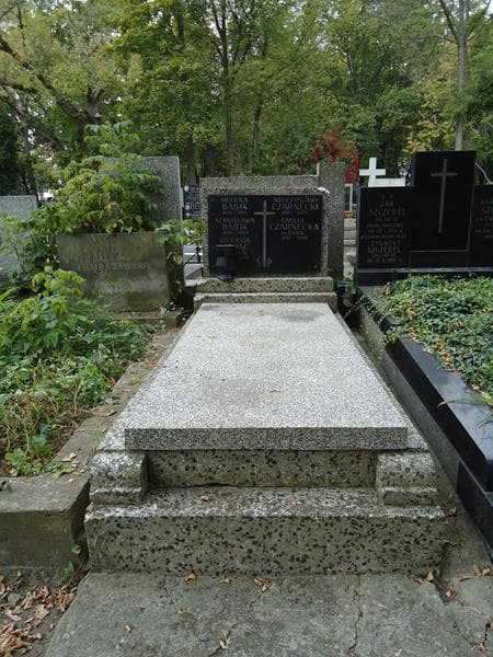 Zdjęcie grobu: Stanisława Babik