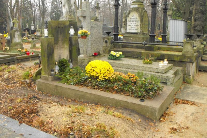 Zdjęcie grobu Halina Wasilewska (1)