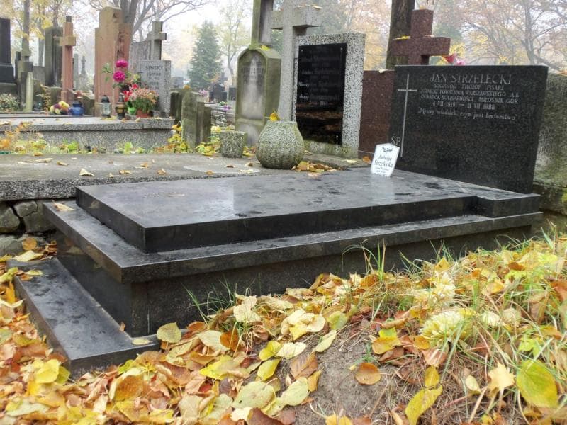 Zdjęcie grobu Janina Strzelecka (1)