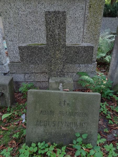 Zdjęcie grobu Adam Franciszek Augustynowicz (2)