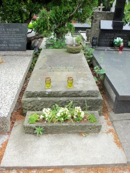 Zdjęcie grobu Andrzej Kwietniewski (1)