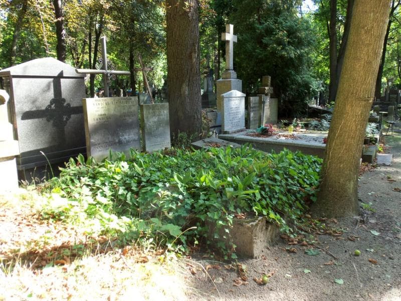 Zdjęcie grobu Waleria Słubicka (1)