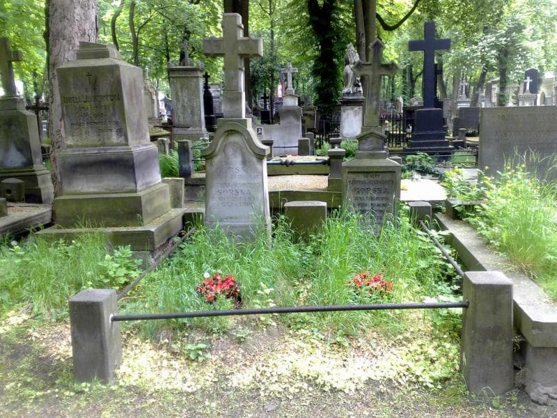 Zdjęcie grobu: Władysław Antoni Gorski
