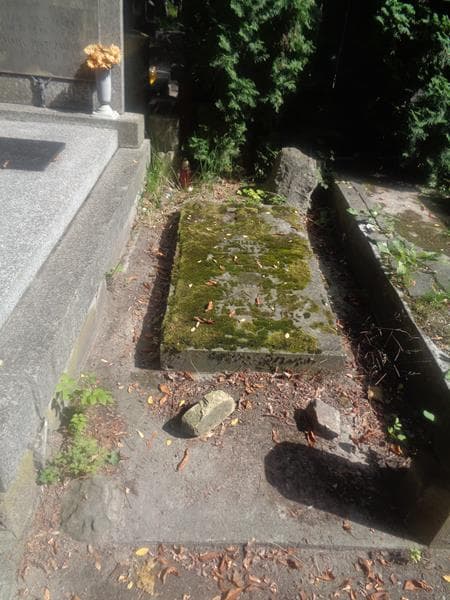 Zdjęcie grobu Zofia De Nizo (1)