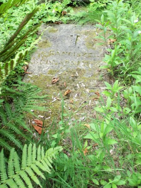 Zdjęcie grobu Franciszek Bednarkiewicz (2)