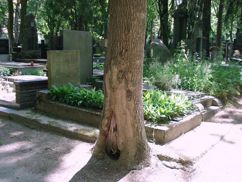Zdjęcie grobu: Małgorzata Knapik