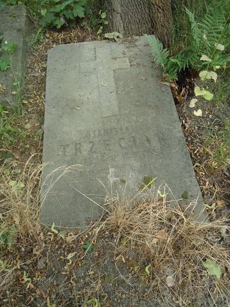 Zdjęcie grobu Stanisław Trzeciak (2)