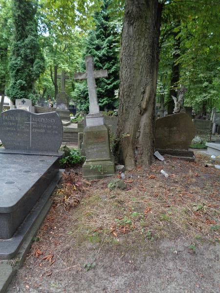 Zdjęcie grobu Władysław Makarewicz (1)