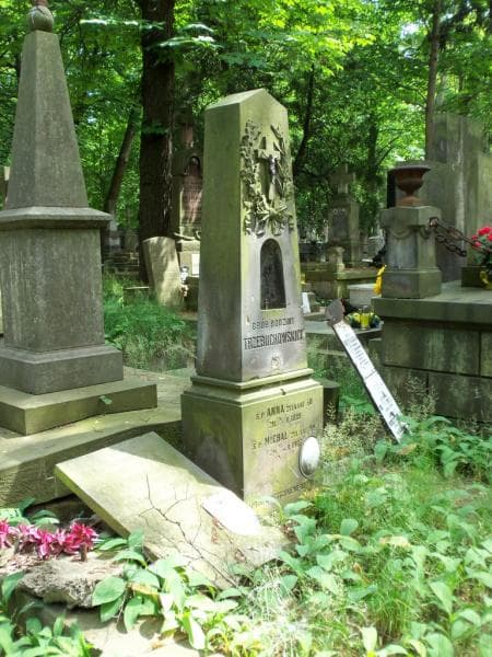 Zdjęcie grobu Teofil De Luga (2)