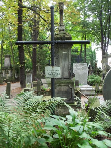 Zdjęcie grobu Kazimiera Maria Chankowska (2)