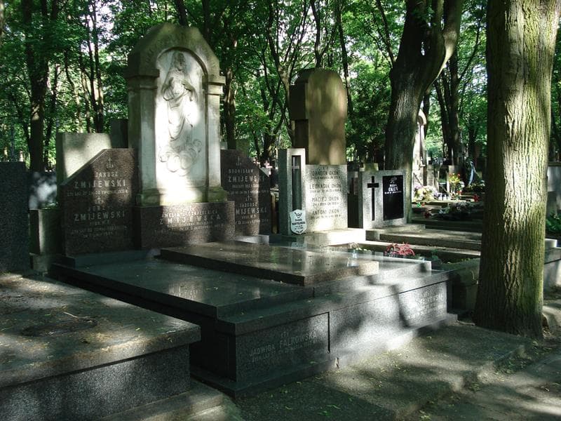 Zdjęcie grobu Kazimierz Żmijewski (1)