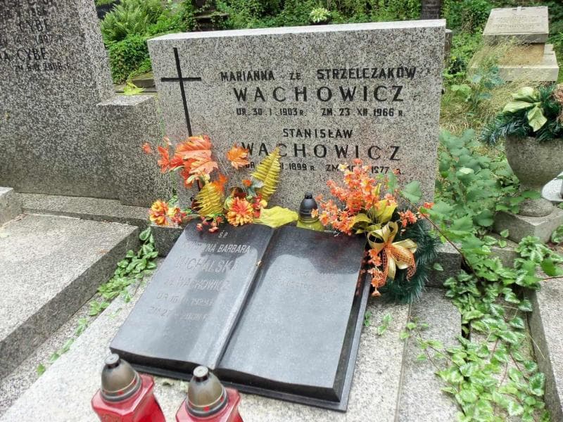Zdjęcie grobu Stanisław Wachowicz (2)