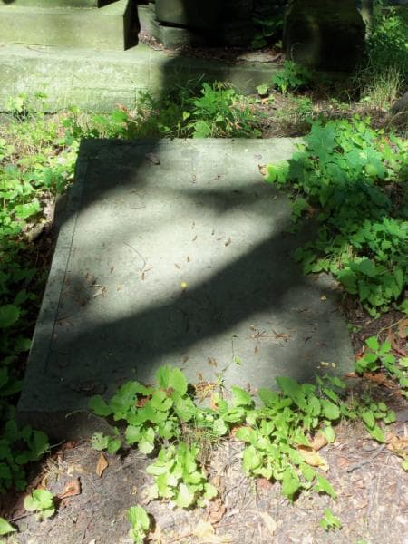 Zdjęcie grobu Teodor Rzeszotowski (2)