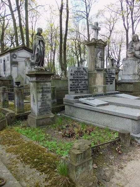 Zdjęcie grobu Franciszek Sądziński (1)