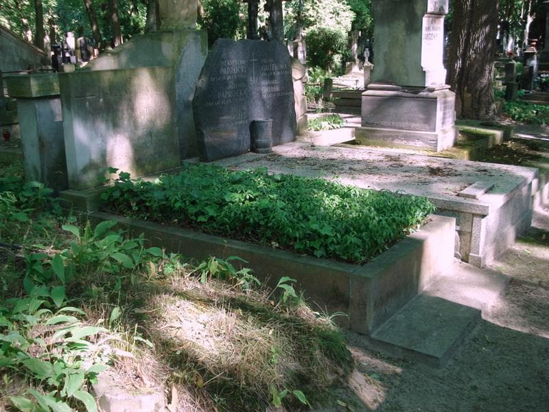 Zdjęcie grobu: Wacława Jenike