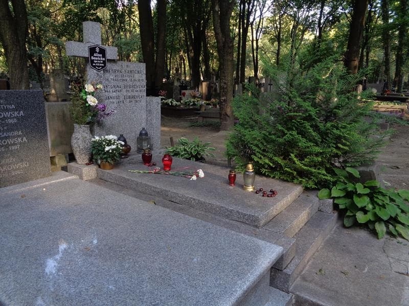 Zdjęcie grobu: Alina Sawicka