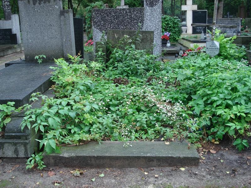 Zdjęcie grobu: Alina Woźny
