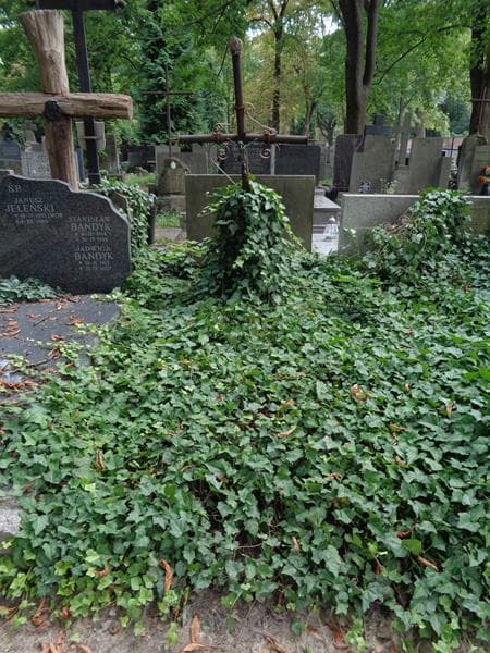 Zdjęcie grobu: Kazimierz Kuczyński