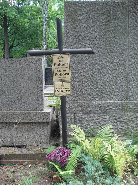 Zdjęcie grobu Alina Teresa Pokora (1)