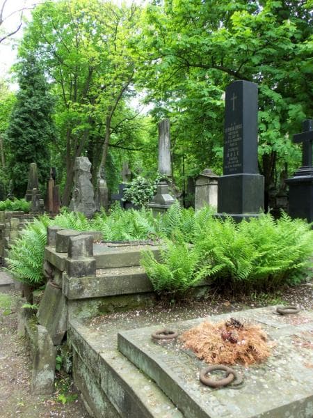 Zdjęcie grobu Ludwik Holc (1)