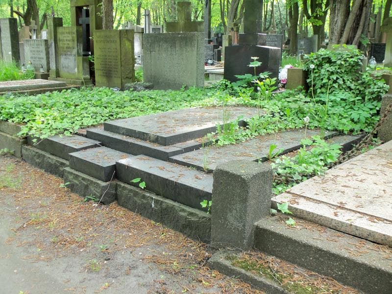 Zdjęcie grobu Stefan Wadowski (2)