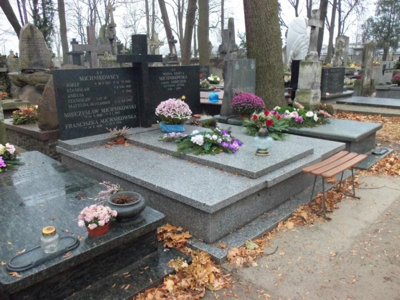 Zdjęcie grobu Amelia Michnikowska (1)
