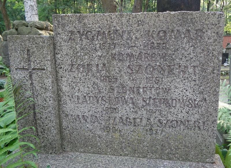 Zdjęcie grobu Władysława Stępkowska (2)
