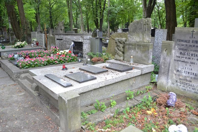 Zdjęcie grobu: Antonina Strycka