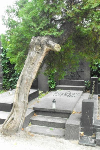 Zdjęcie grobu: Jolanta Kuleszyna