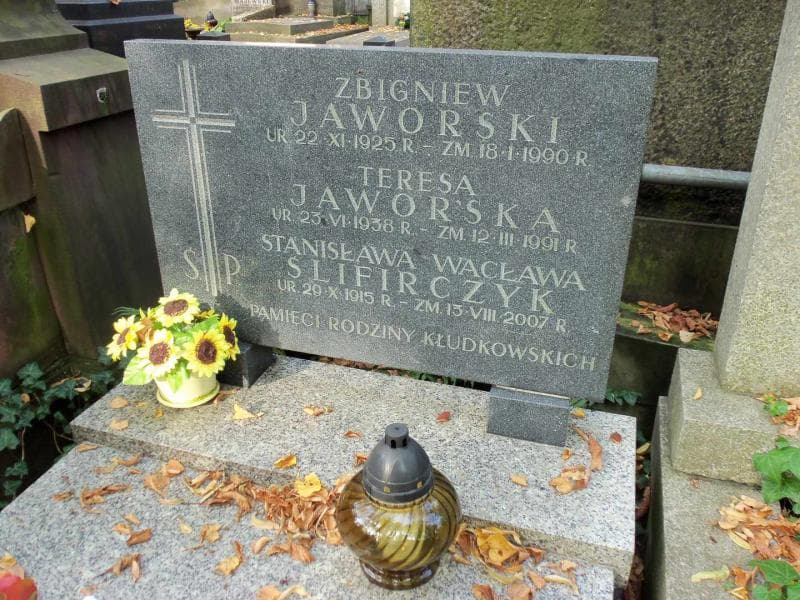 Zdjęcie grobu Józea Kłodkowska (2)