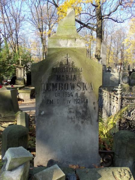 Zdjęcie grobu Henryk Dembowski (2)