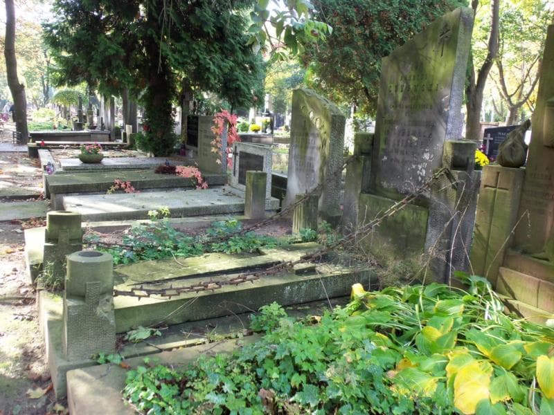 Zdjęcie grobu Andrzej Cynowski (1)