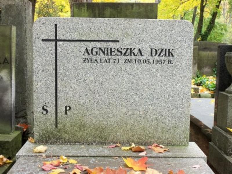 Zdjęcie grobu Agnieszka Dzik (2)