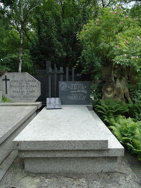 Zdjęcie grobu: Roman Gościcki