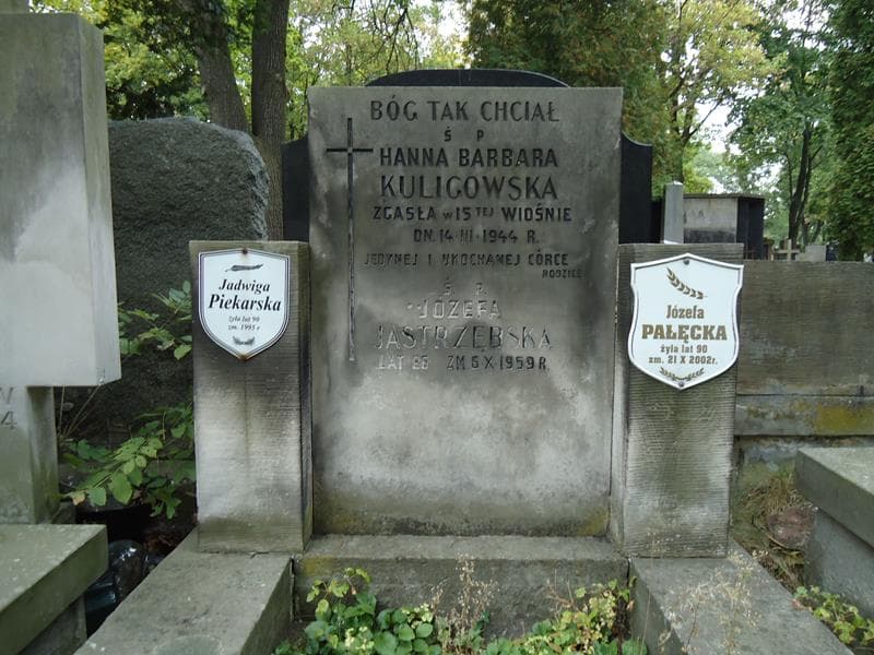 Zdjęcie grobu Józefa Jastrzębska (2)