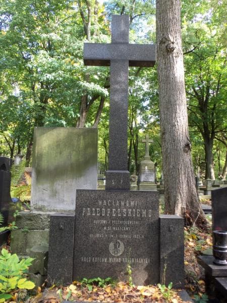 Zdjęcie grobu Wacław Przedpełski (2)