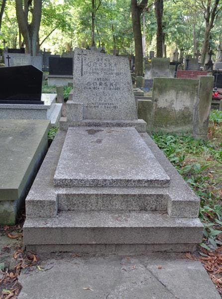 Zdjęcie grobu Irena Górska (1)