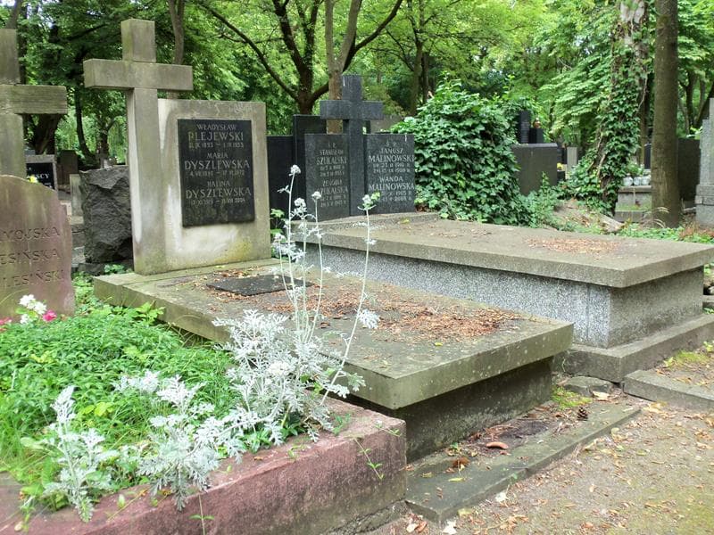 Zdjęcie grobu Władysław Plejewski (1)