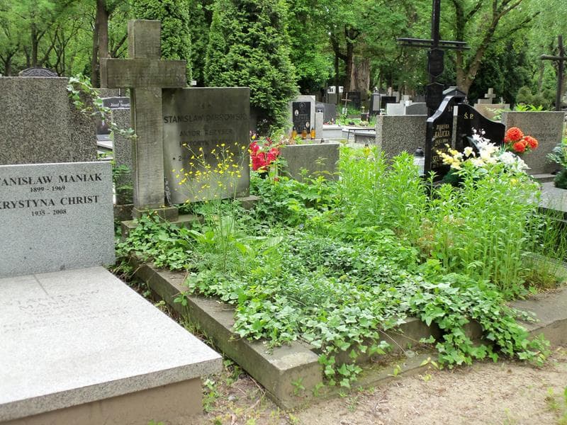 Zdjęcie grobu Stanisław Dąbrowski (1)