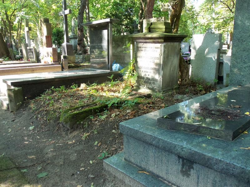 Zdjęcie grobu Konstanty Królikowski (1)