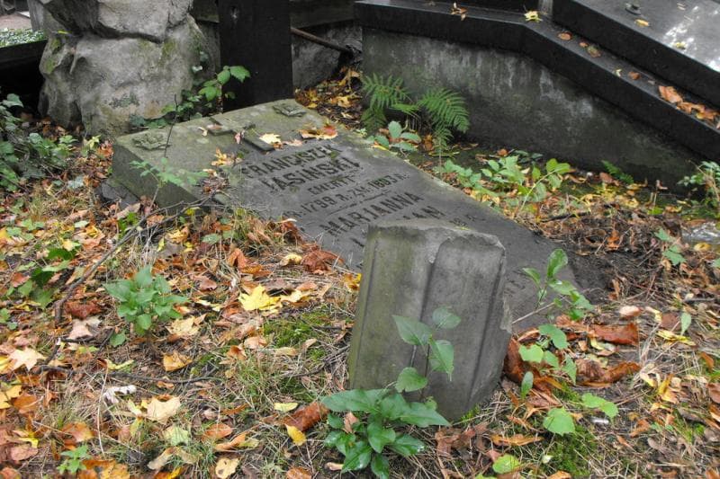 Zdjęcie grobu Henryk Górek (1)