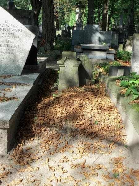 Zdjęcie grobu: Tekla Pietrzykowska