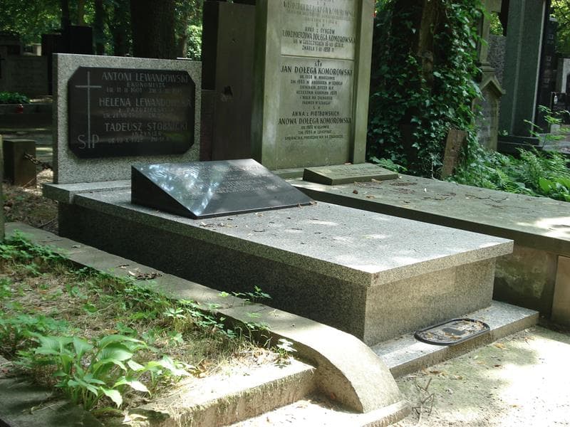 Zdjęcie grobu Helena Lewandowska (1)